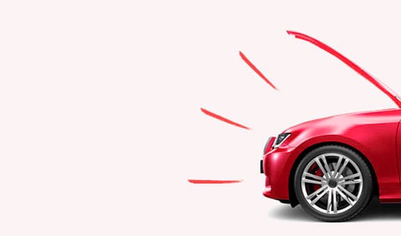  Your trusted car parts store